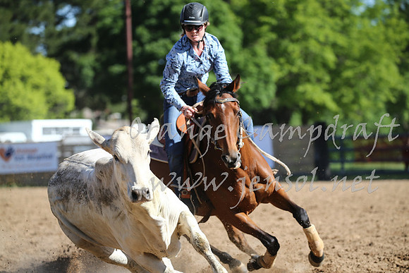 OrangeCampdraft_0465