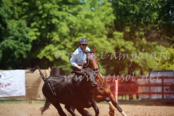 OrangeCampdraft_0214