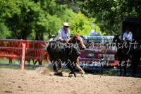 OrangeCampdraft_0201