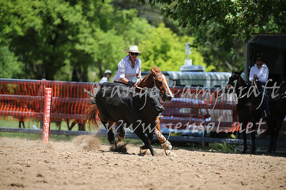 OrangeCampdraft_0201