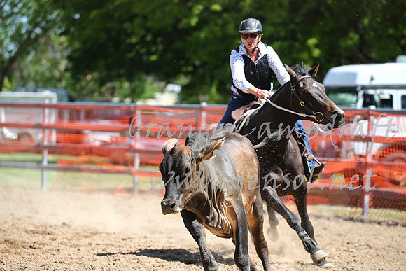 OrangeCampdraft_0356