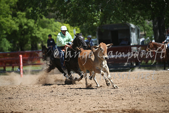 OrangeCampdraft_0275