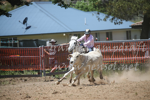 OrangeCampdraft_0218