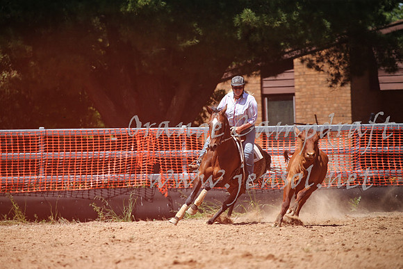 OrangeCampdraft_0262