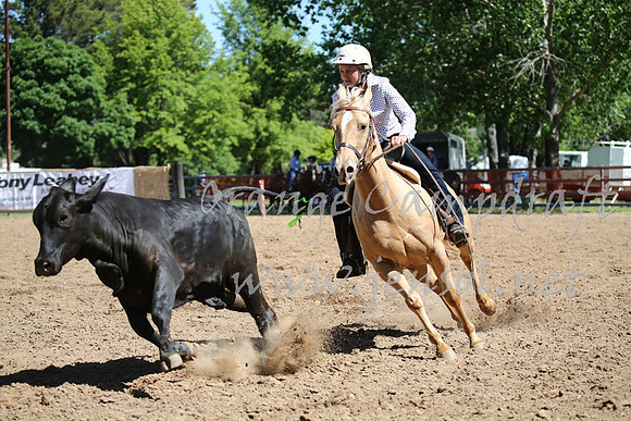 OrangeCampdraft_0385