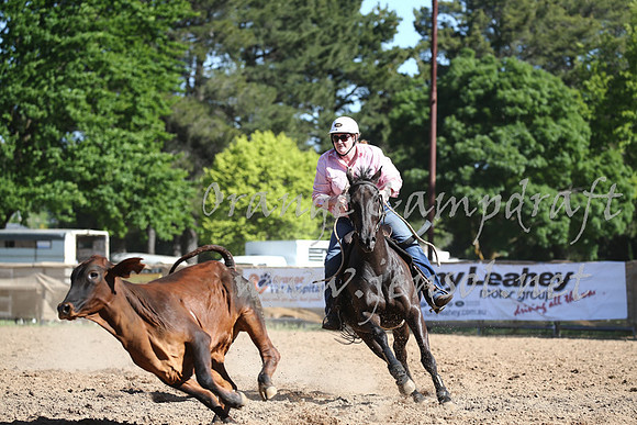 OrangeCampdraft_0445