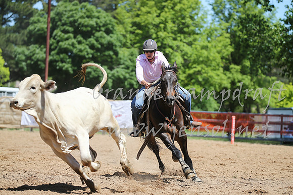 OrangeCampdraft_0234
