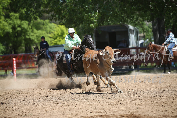OrangeCampdraft_0276