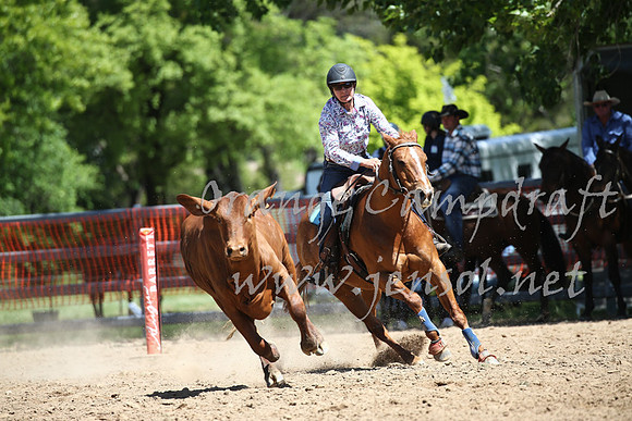 OrangeCampdraft_0292