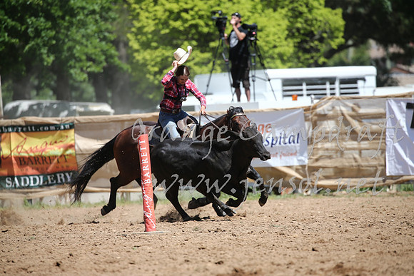 OrangeCampdraft_0341