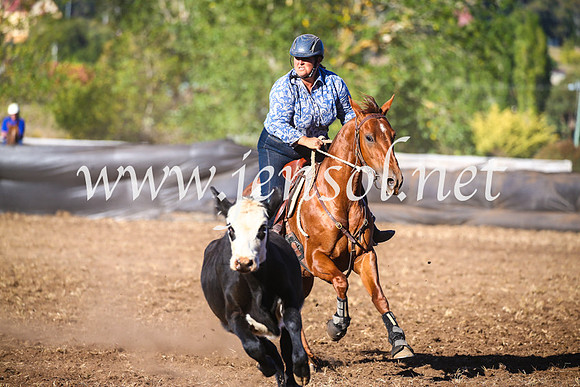 NimmitabelCampdraft2017_5437