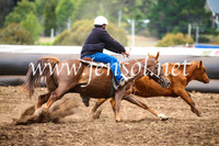 NimmitabelCampdraft2017_5140