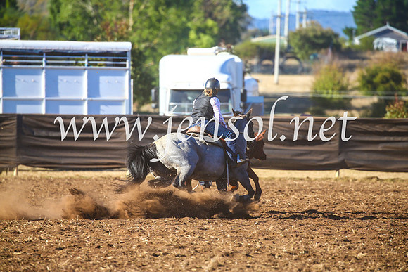 NimmitabelCampdraft2017_5470
