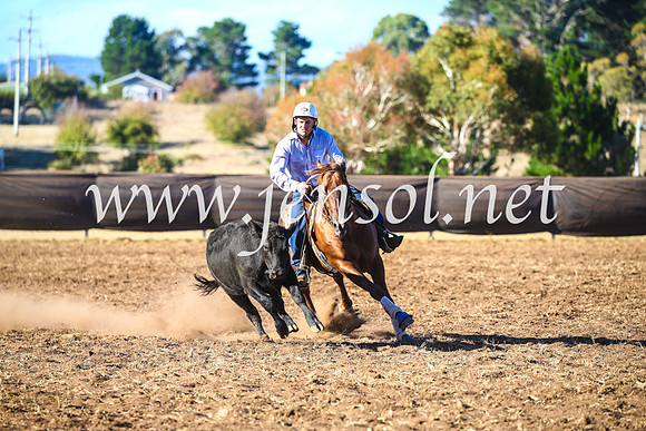 NimmitabelCampdraft2017_5330
