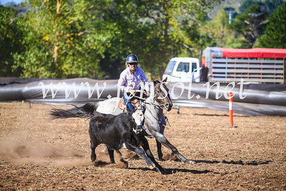 NimmitabelCampdraft2017_5209