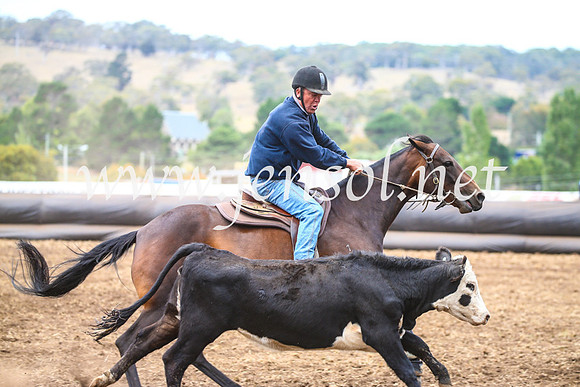 NimmitabelCampdraft2017_5157