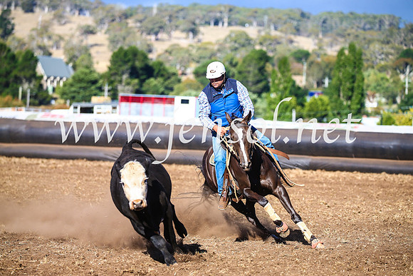 NimmitabelCampdraft2017_5284