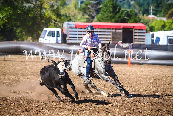 NimmitabelCampdraft2017_5205