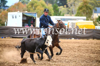 NimmitabelCampdraft2017_5146