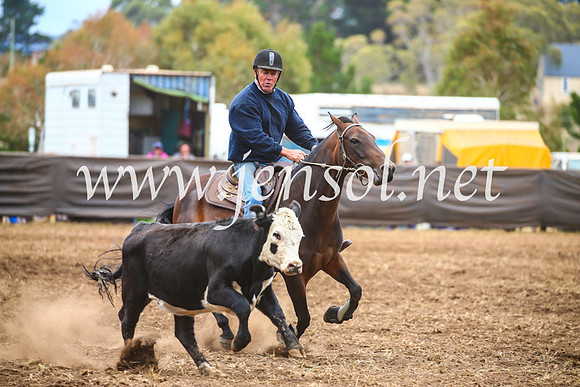 NimmitabelCampdraft2017_5146