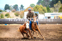 NimmitabelCampdraft2017_5034