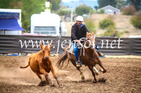 NimmitabelCampdraft2017_5126