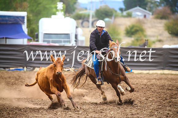 NimmitabelCampdraft2017_5126