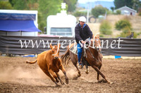NimmitabelCampdraft2017_5124