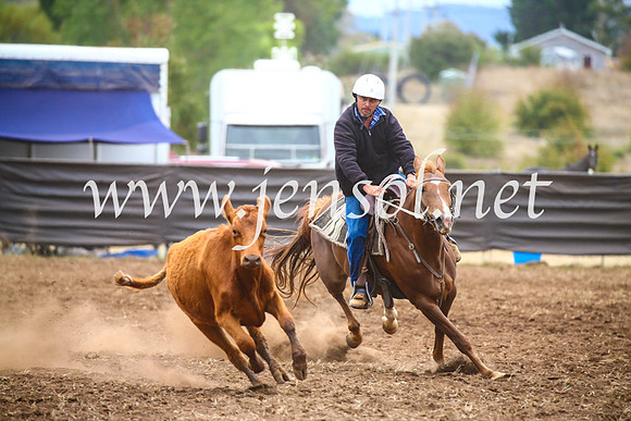 NimmitabelCampdraft2017_5124