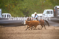 NimmitabelCampdraft2017_5121