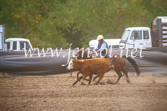 NimmitabelCampdraft2017_5121