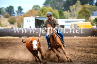 NimmitabelCampdraft2017_5040