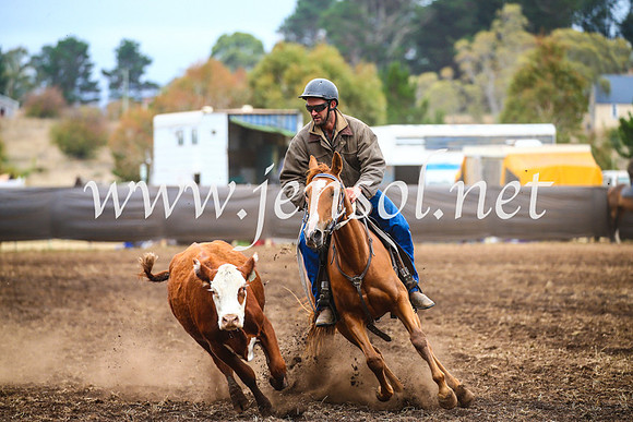NimmitabelCampdraft2017_5040