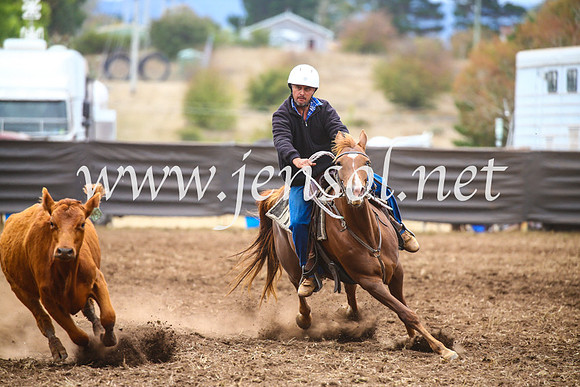 NimmitabelCampdraft2017_5131