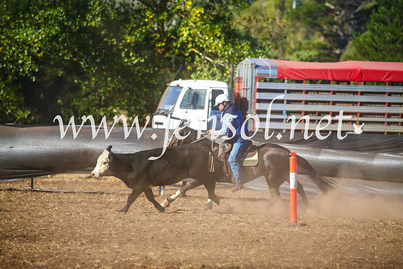 NimmitabelCampdraft2017_5304