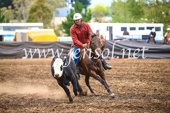 NimmitabelCampdraft2017_5041