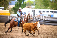 NimmitabelCampdraft2017_5114