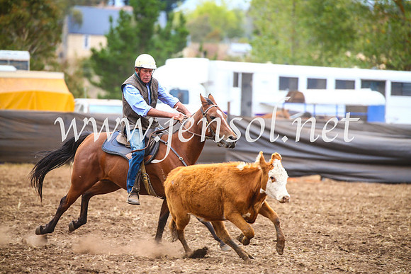 NimmitabelCampdraft2017_5114