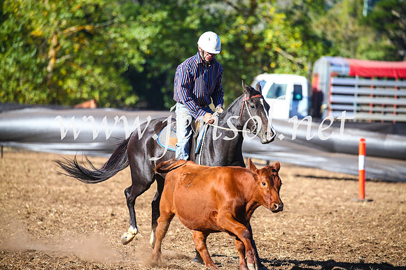 NimmitabelCampdraft2017_5324