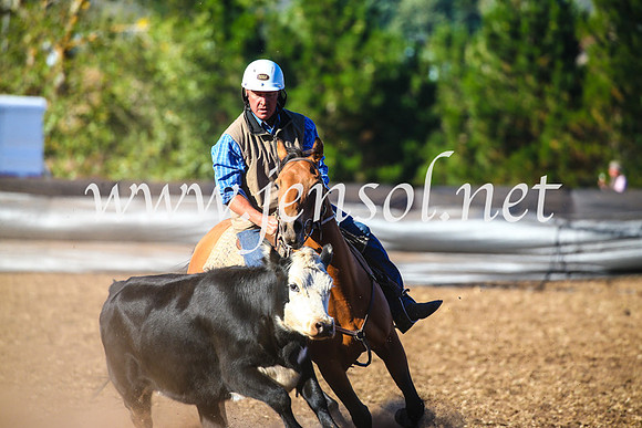NimmitabelCampdraft2017_5415