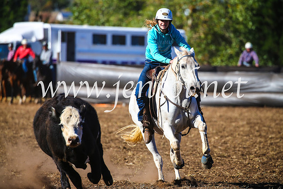 NimmitabelCampdraft2017_5220