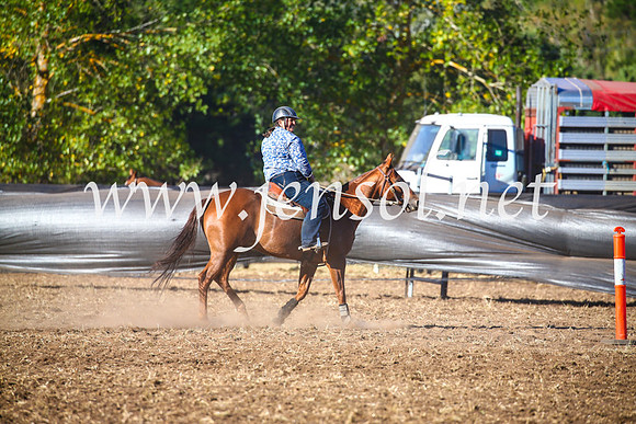 NimmitabelCampdraft2017_5466