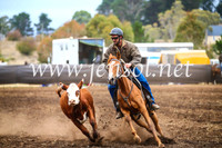 NimmitabelCampdraft2017_5039