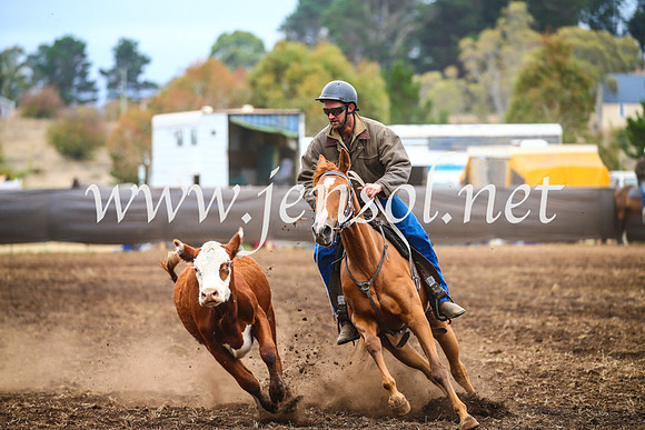 NimmitabelCampdraft2017_5039