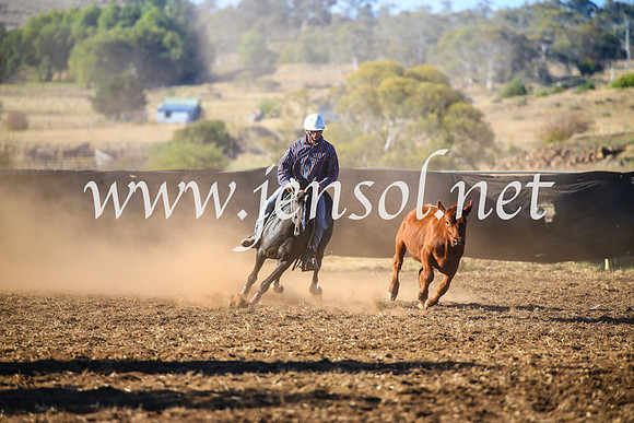 NimmitabelCampdraft2017_5321