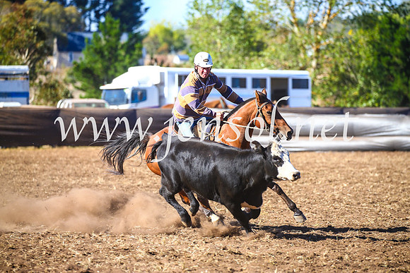 NimmitabelCampdraft2017_5192
