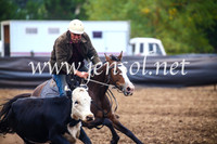 NimmitabelCampdraft2017_5060