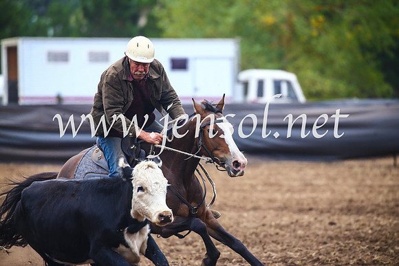 NimmitabelCampdraft2017_5060