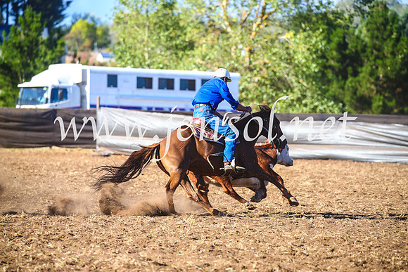 NimmitabelCampdraft2017_5426