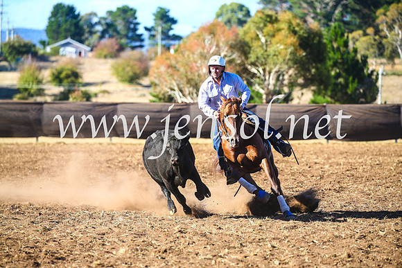 NimmitabelCampdraft2017_5332